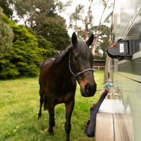 Equiviews Horse Trailer Camera